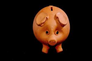 Ceramic Piggy Bank photo