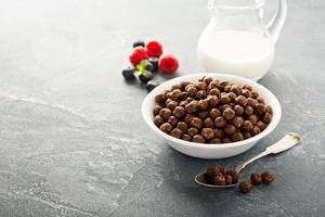 Chocolate cereals in a white bowl photo