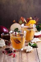 Warm apple cider with spices photo