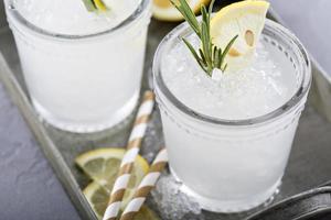 Lemon rosemary cocktail on a tray photo
