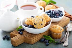 Blueberry muffins in a bowl photo