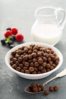 Chocolate cereals in a white bowl photo