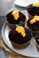 Carrot cupcakes with chocolate crumbs and frosting photo