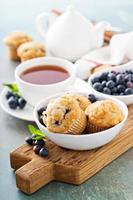 Blueberry muffins in a bowl photo