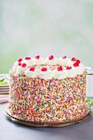 Birthday cake covered in sprinkles photo