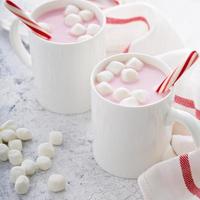 Peppermint hot chocolate with candy canes photo