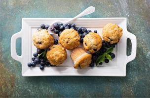 Blueberry muffins on a plate photo