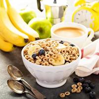 Healthy cold cereal in a white bowl photo