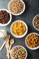 Variety of cold cereals in white bowls photo