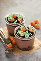 Pumpkin chocolate puddings photo