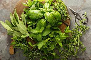 Cooking with fresh herbs photo