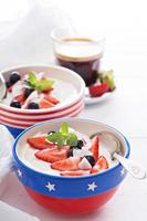 Yogurt bowls with strawberry and blueberry photo