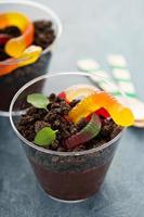 Children chocolate dessert in a cup dirt and worms photo