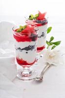 Red blue and white yogurt parfait photo