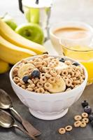 Healthy cold cereal in a white bowl photo