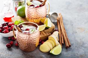 Moscow mule cocktail with ginger and cranberry photo