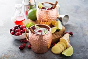 Moscow mule cocktail with ginger and cranberry photo