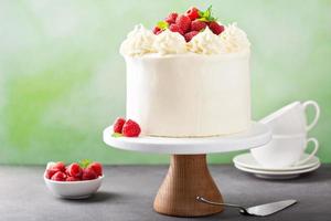 Vanilla raspberry cake with white frosting photo
