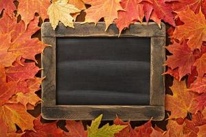 Fall background with a chalkboard photo