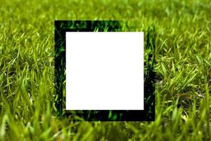 empty summer frame on green grass background, lawn with copy space 3d render photo