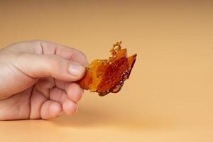 big piece cannabis shatter in hand, wax with high thc photo
