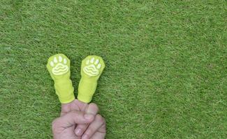 Green dog socks fingers with animal footprints pattern on grass floor with copy space photo