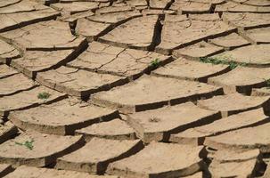 Crack soil on dry season, Global worming effect photo