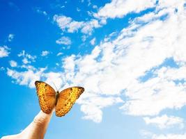 Butterfly on hand in jungle the beauty of nature photo