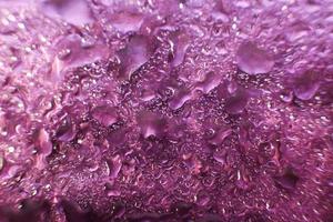 water drops on a purple background. Abstract purple background. Water drops on glass. photo
