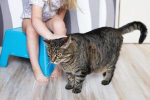 Little girl petting the gray cat at home photo