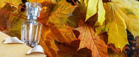 una botella de vidrio de perfume femenino con una bolsa de regalo sobre hojas amarillas de otoño sobre un fondo de madera. perfumería natural. foto