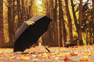 paraguas con una hoja de otoño en el callejón del parque foto