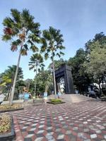 árbol sombreado en el parque de la ciudad foto