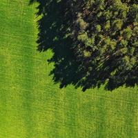 Top view aerial shot of nature photo