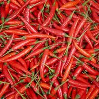 cooking pepper For a good flavor condiment, bright red, vegetarian. photo