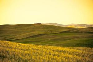 Outdoor Tuscan gold hills landscape at sunset photo