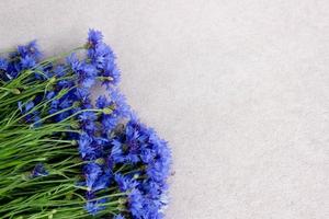 Beautiful bluet flower bouquet laying on pink background,bunch of cornflower with free copy space for text,top view,flat lay,image for wallpaper,poster,cover design,invitation,greeting card,postcard photo