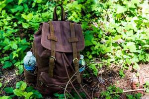 Backpack on lush green forest floor photo