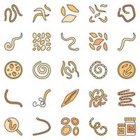iconos vectoriales de color helmintos - símbolos conceptuales de gusanos intestinales helmintos vector