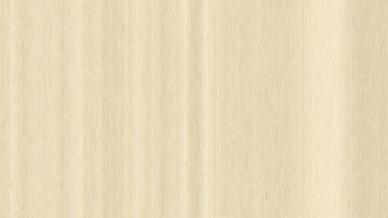 Maple wood surface seamless texture loop. Wooden maple board panel background.Maple wood surface seamless texture. Maple wooden board panel background. Vertical across tree fibers direction. video