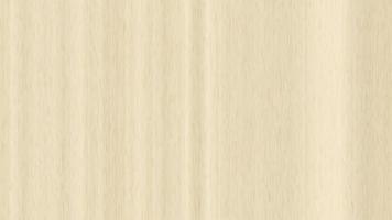 Maple wood surface seamless texture loop. Wooden maple board panel background.Maple wood surface seamless texture. Maple wooden board panel background. Vertical across tree fibers direction. video