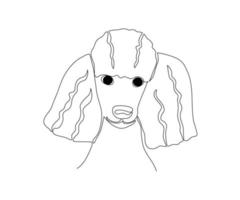 black and white poodle drawn by a monoline, one line art vector