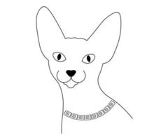 gato esfinge monocromático en blanco y negro en un collar vector