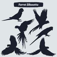 Collection of animal parrot silhouettes vector