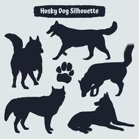 Colección de perro husky animal en diferentes posiciones. vector
