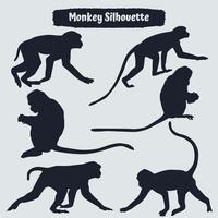 Collection of Animal Monkey Silhouettes vector