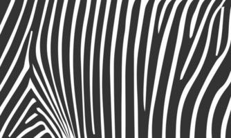 Zebra animal vector seamless pattern