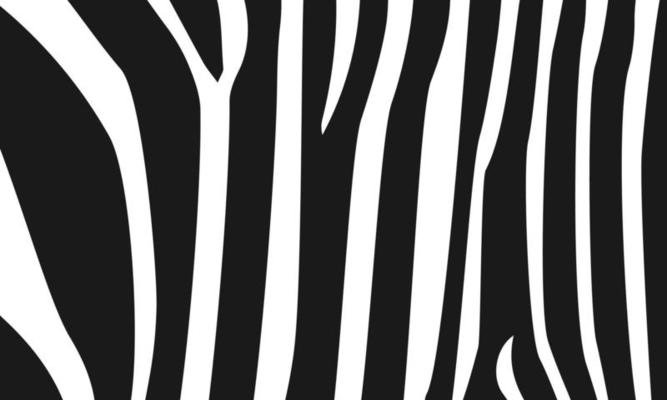 zebra print texture
