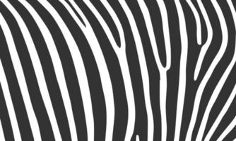 Zebra animal vector seamless pattern