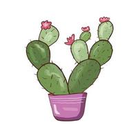 Cactus with flowers. Decorative natural element vector